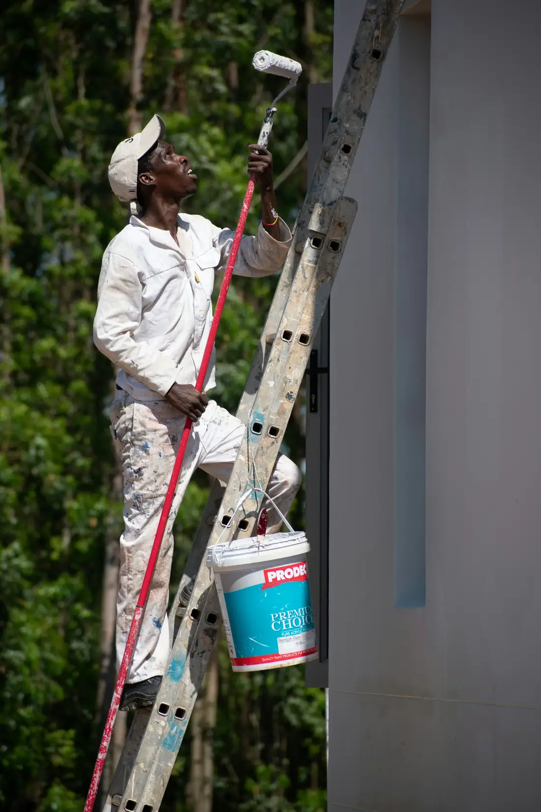 Peintre perché sur une échelle qui peint un mur intérieur